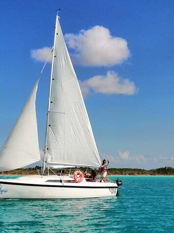 Tour Velero